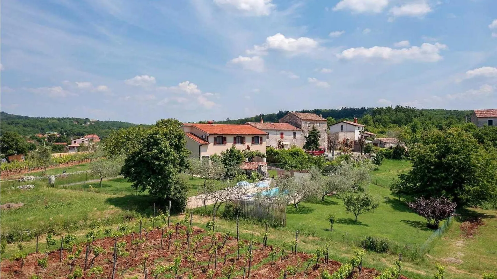 Villa Greis Buje