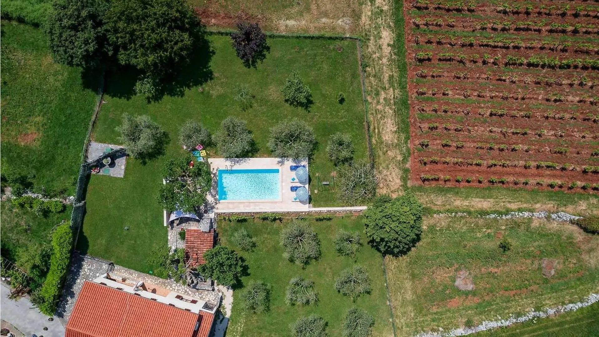 Villa Greis Buje Vakantiehuis